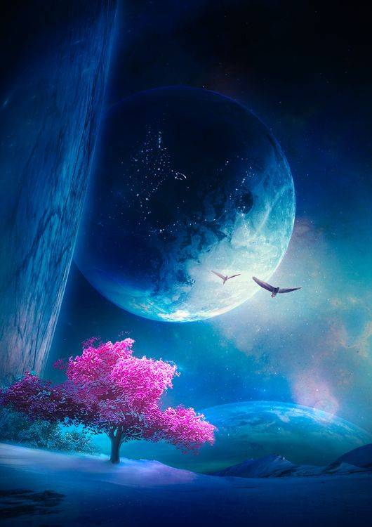 Tree in Space preview