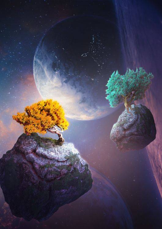 Vibrant Tree preview