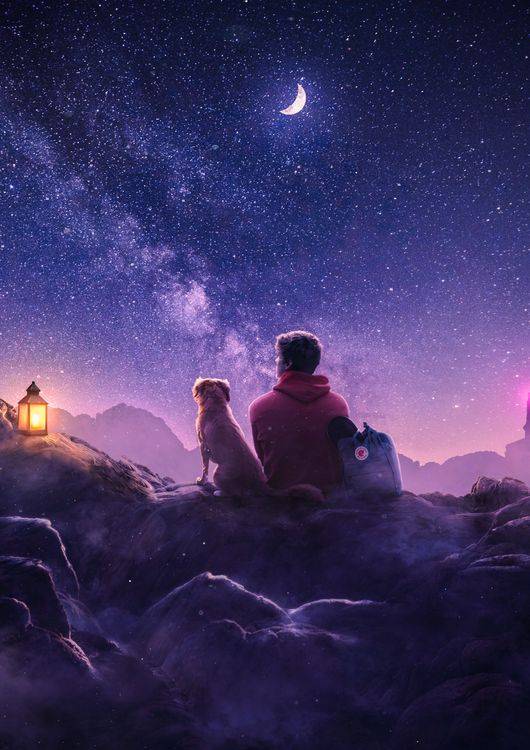 A trip with my dog preview