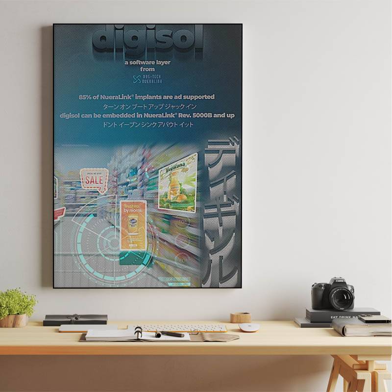 digisol - a software layer preview