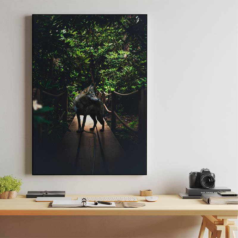 Photogenic wolf preview