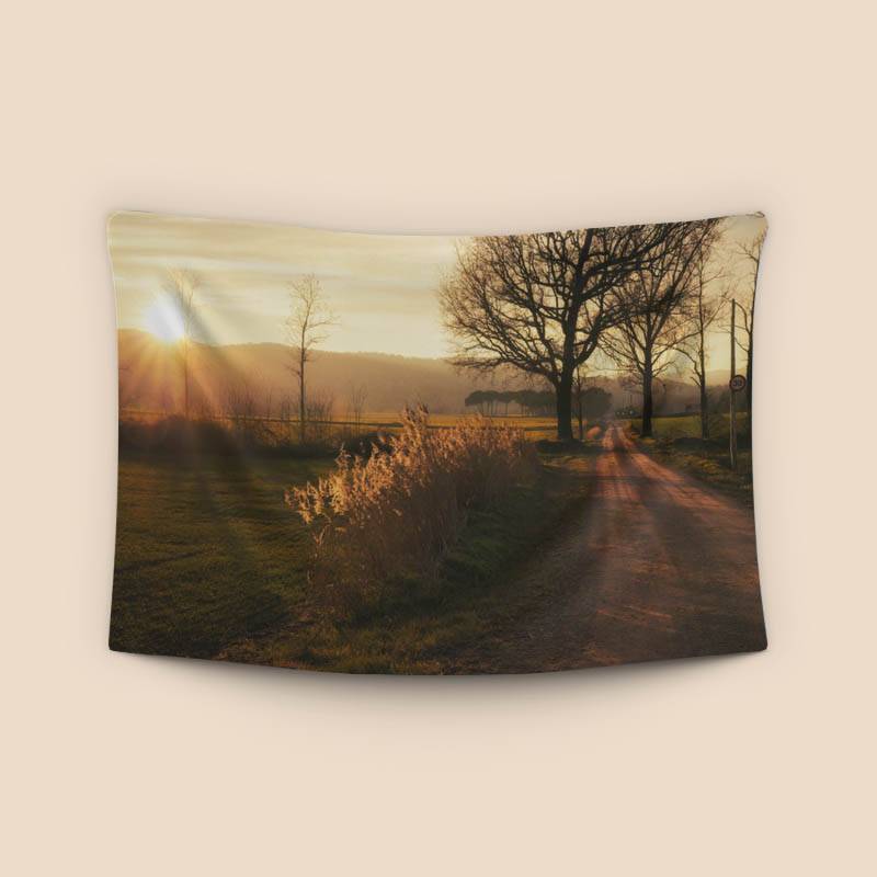 Rural road to Senfores, Malla, Catalonia preview