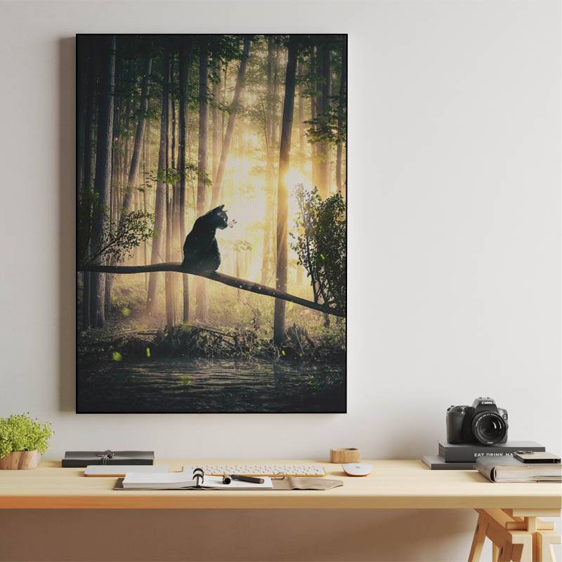 Cat, Sun and Forest preview