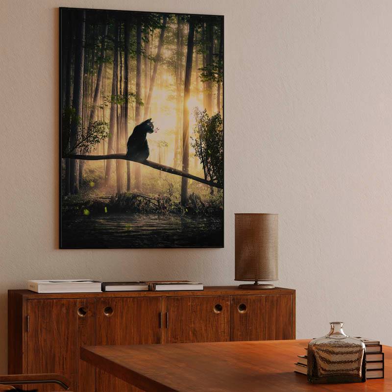 Cat, Sun and Forest preview