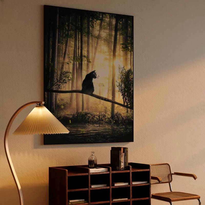 Cat, Sun and Forest preview