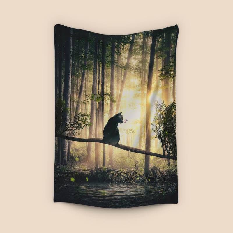 Cat, Sun and Forest preview