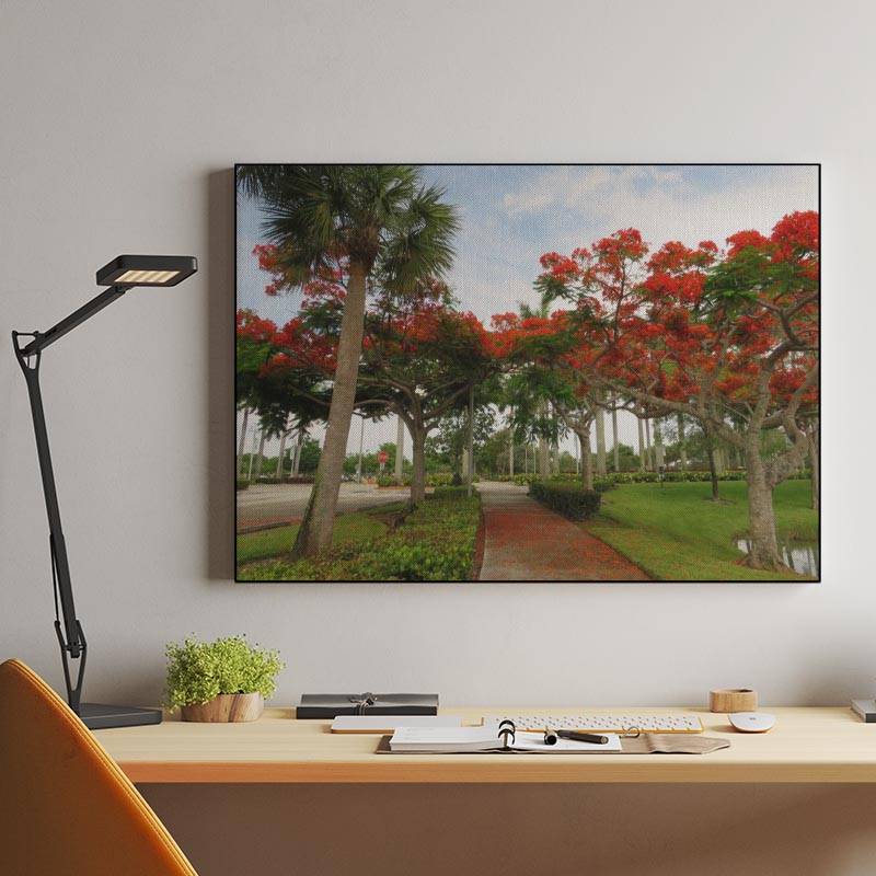 Royal Poinciana Trees preview