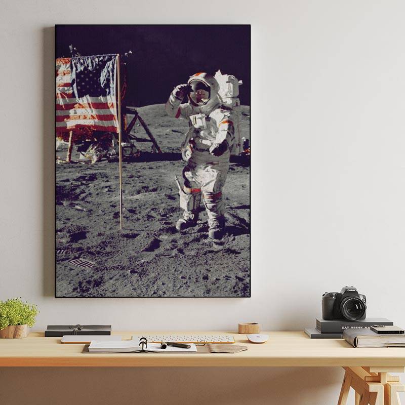 Astronaut on The Moon Canvas preview