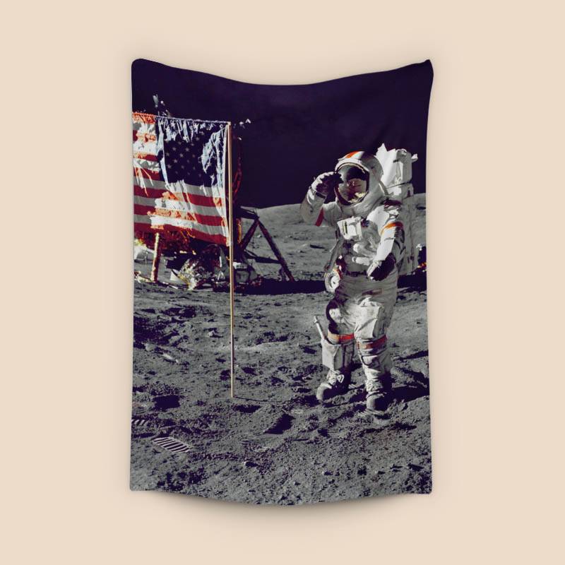 Astronaut on The Moon Canvas preview
