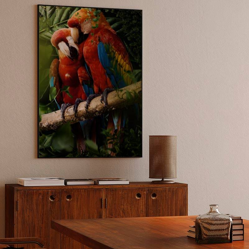 Beautiful Parrots preview
