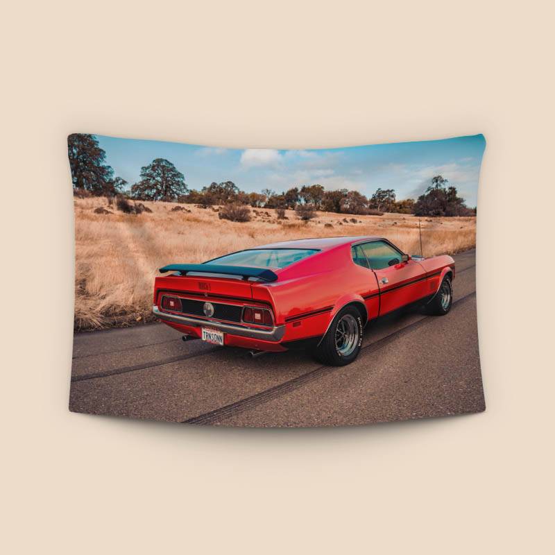 Ford Mustang Mach 1 preview