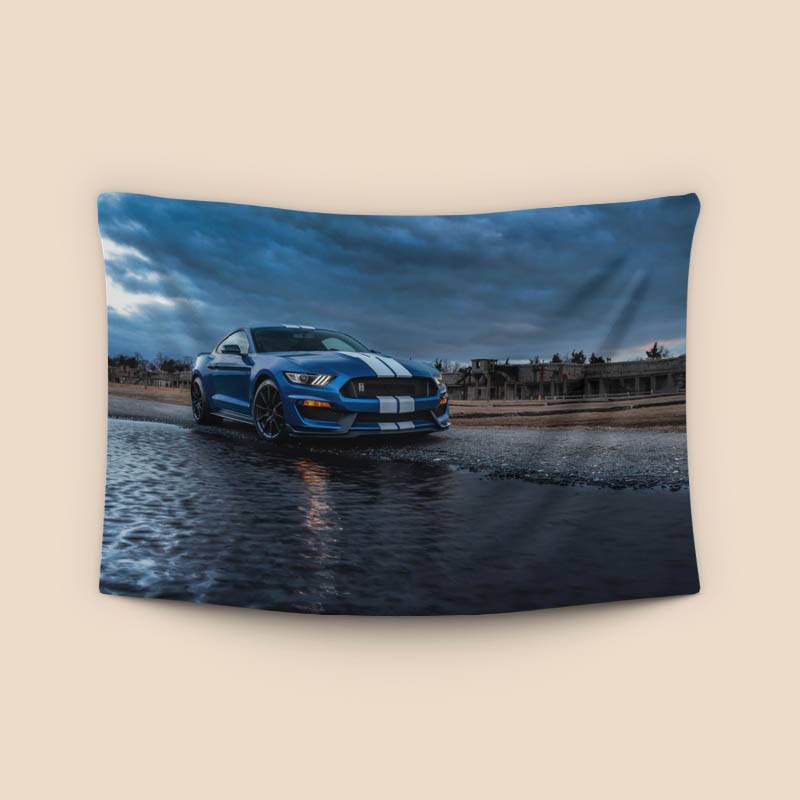 Ford Mustang Shelby GT350 preview