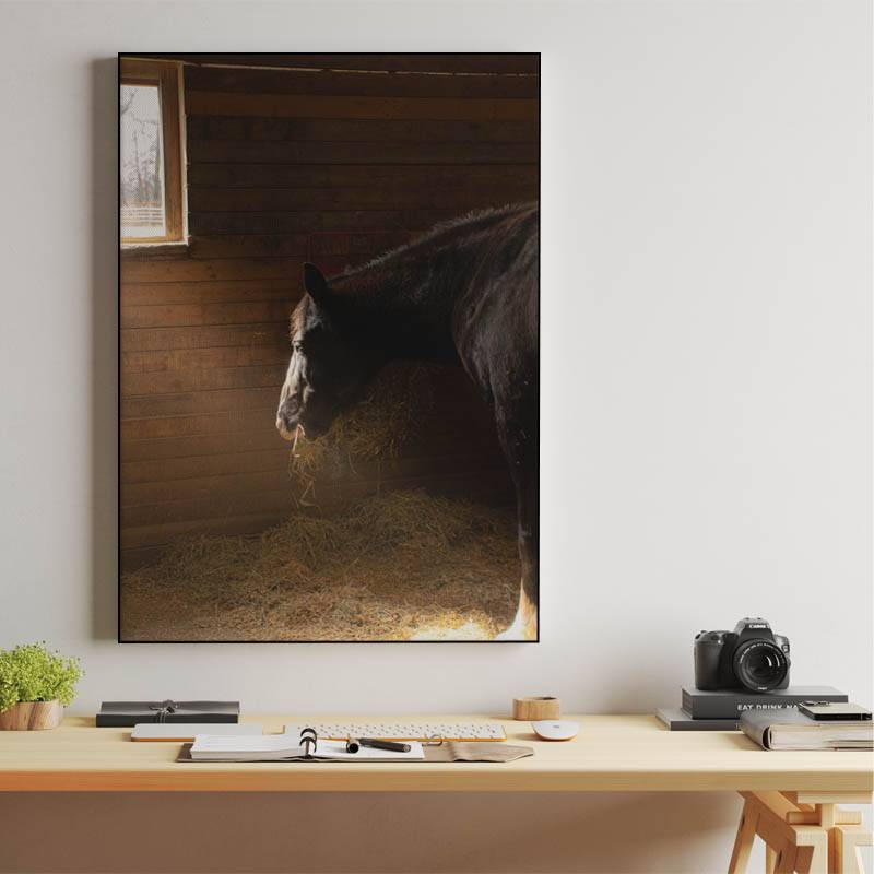 Horse in stable preview