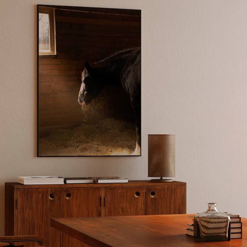 Horse in stable preview