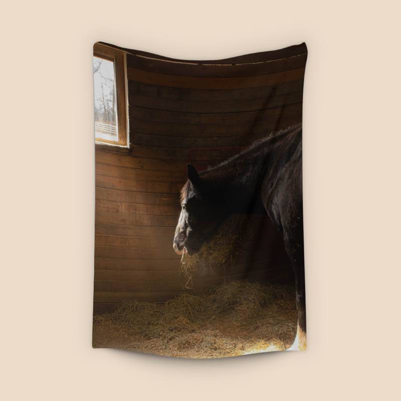 Horse in stable preview