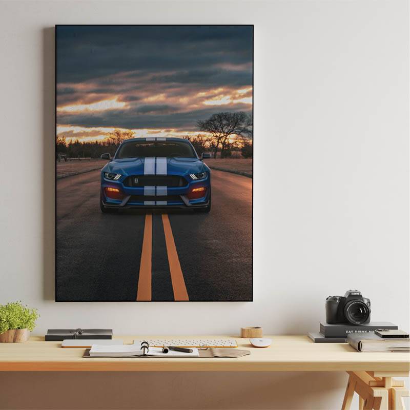 Ford Mustang Shelby GT350 preview