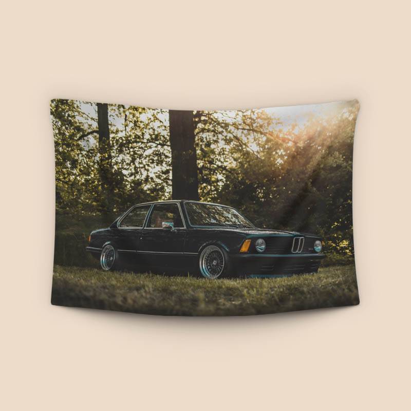 BMW E21 3 series preview