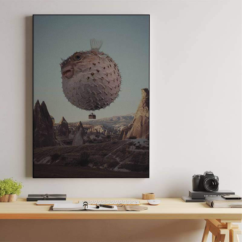 Travel notes of flying Dolphin preview