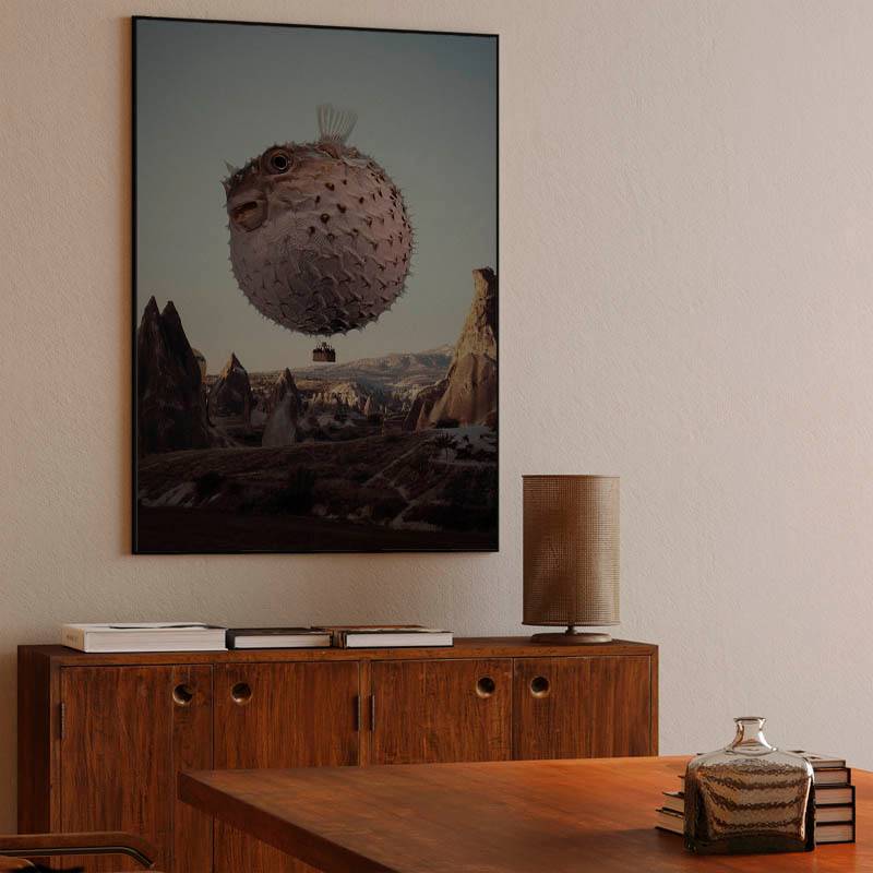 Travel notes of flying Dolphin preview