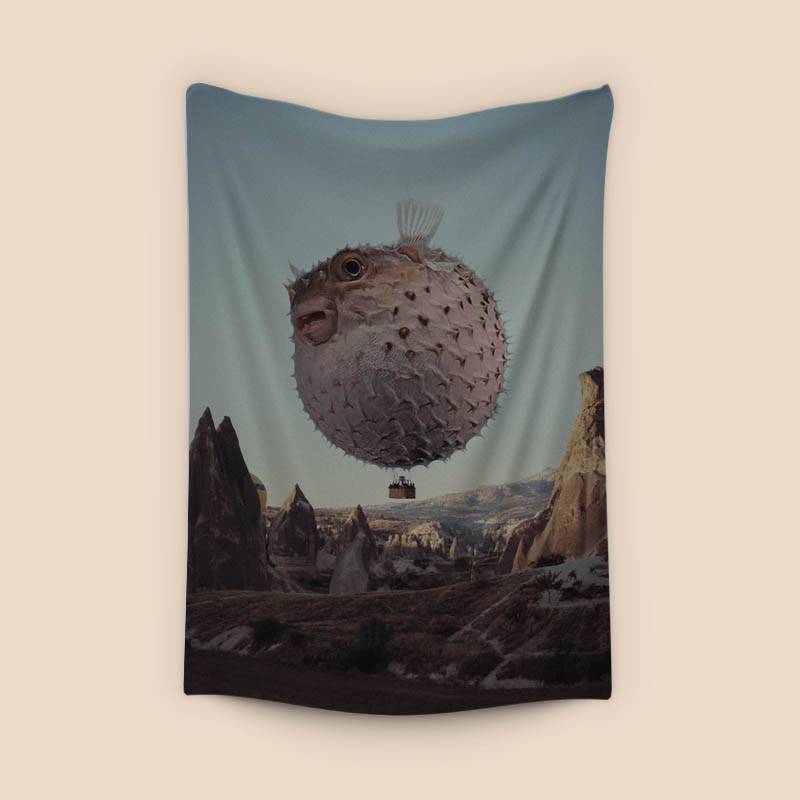 Travel notes of flying Dolphin preview