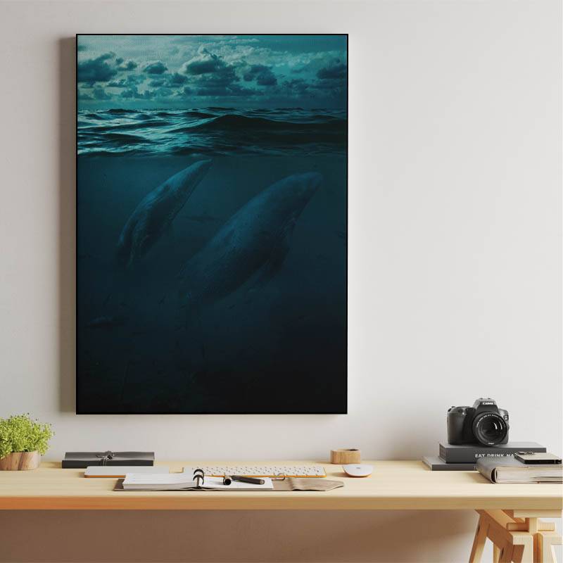 Whales in big ocean preview