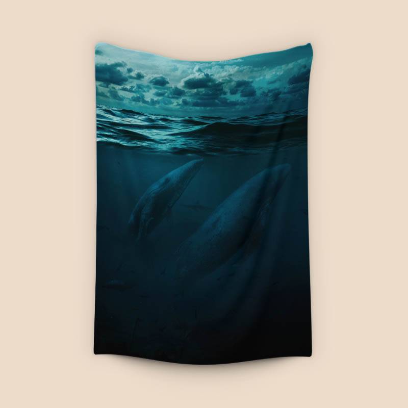 Whales in big ocean preview