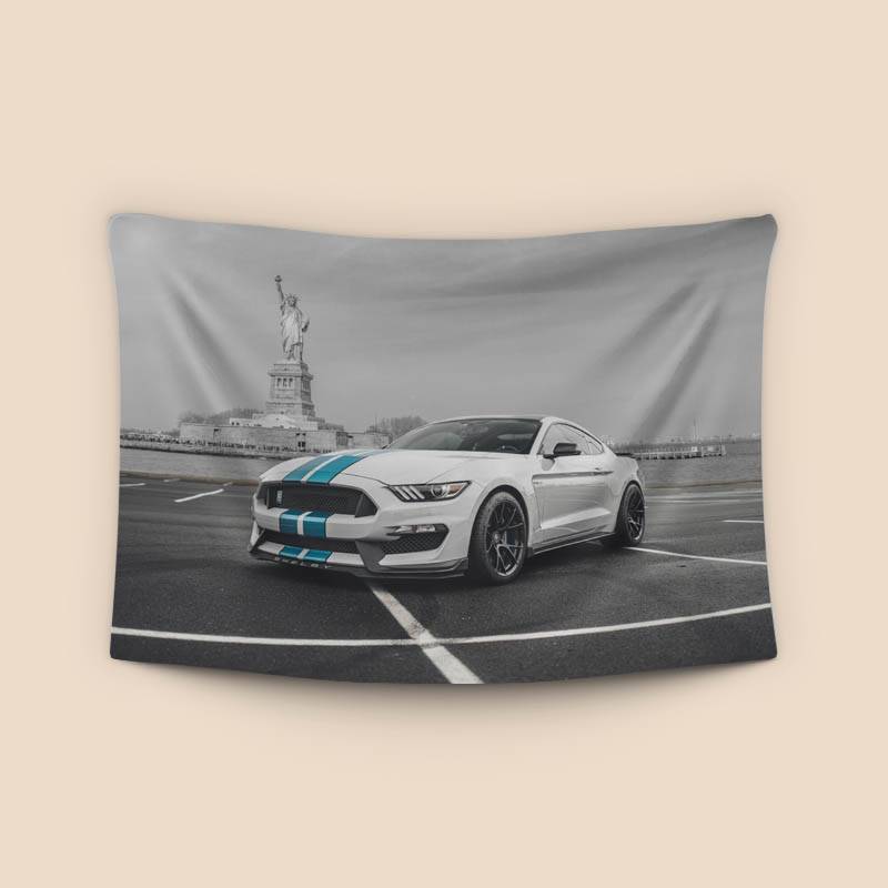 Ford Mustang Shelby GT350 preview