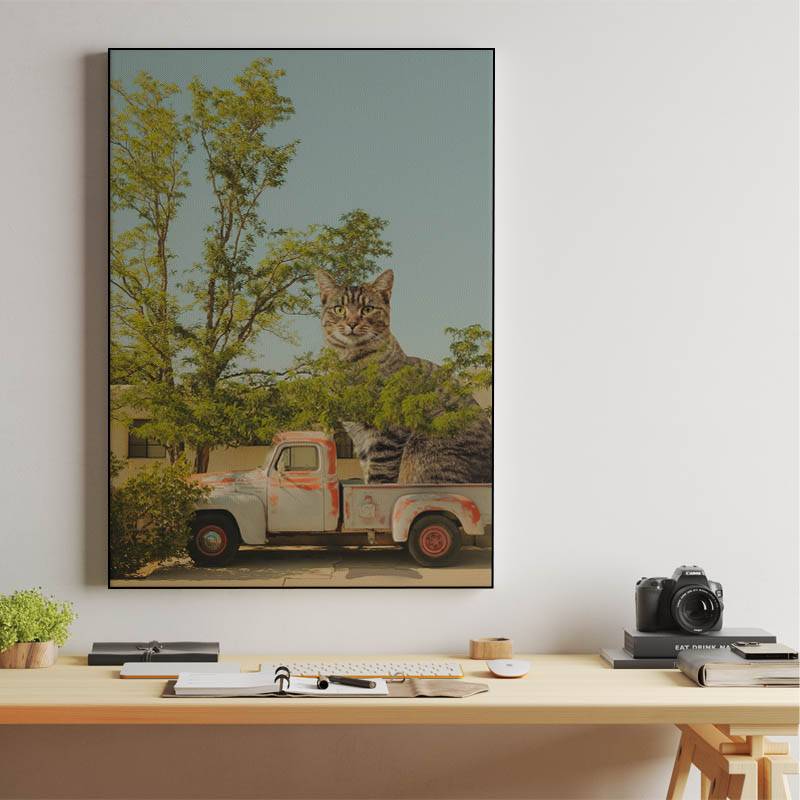 Summer and cat preview