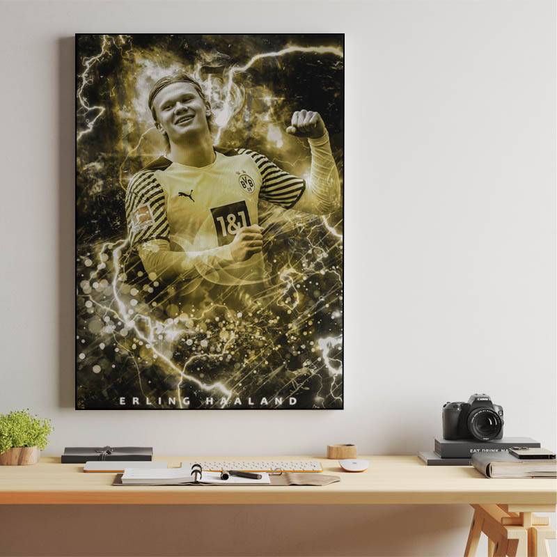 Erling Haaland preview