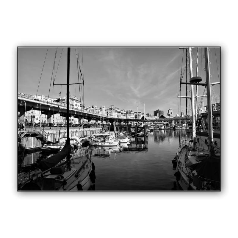 Genoa harbor preview