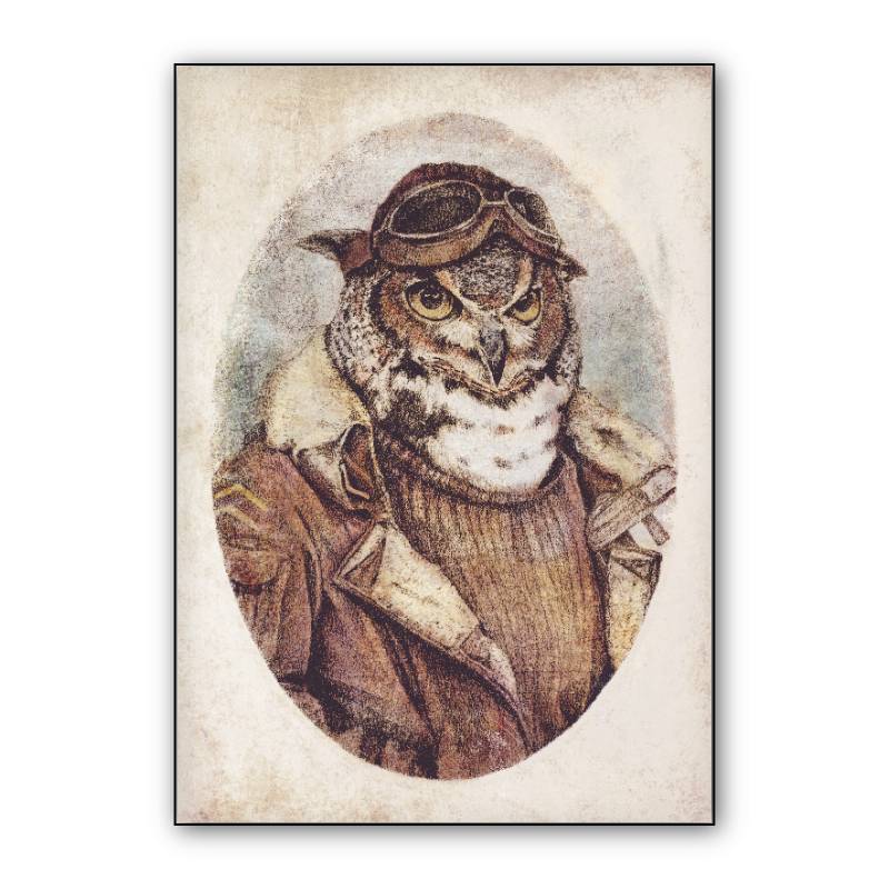 Ready for take off preview