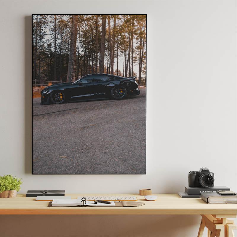 Ford Mustang Shelby GT500