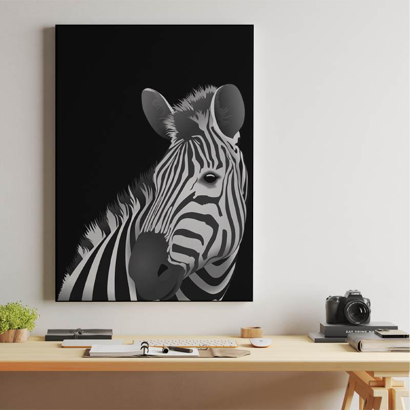 Zebra - black background