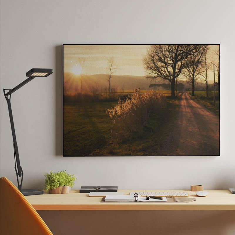 Rural road to Senfores, Malla, Catalonia