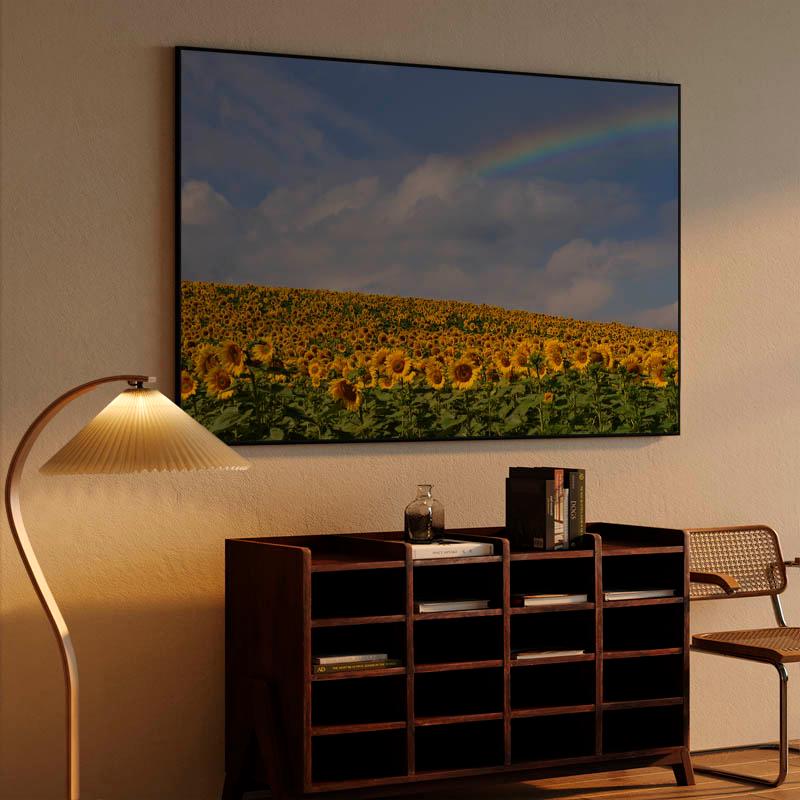 Campo de girasoles con arcoíris.