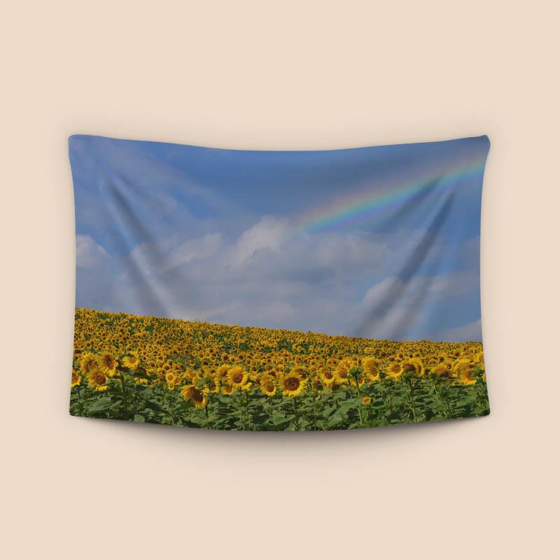 Campo de girasoles con arcoíris.