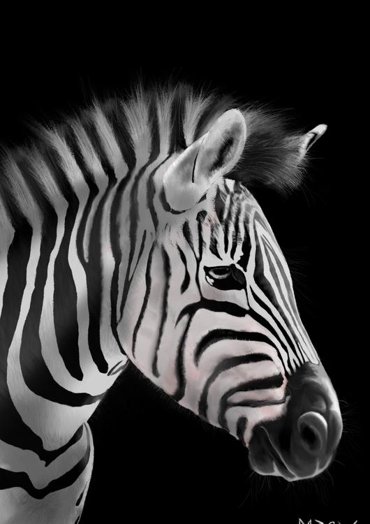 Zebras are epic