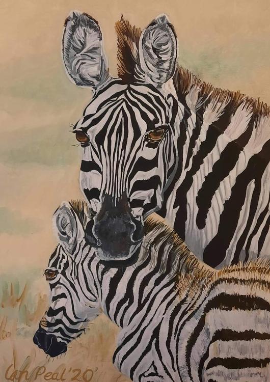 Mother and child zebras