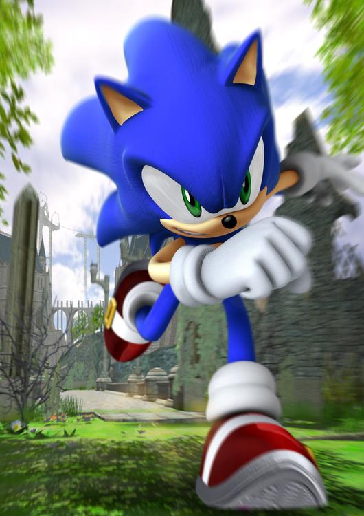 Sonic the hedgehog