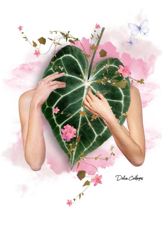 Latidos de la naturaleza