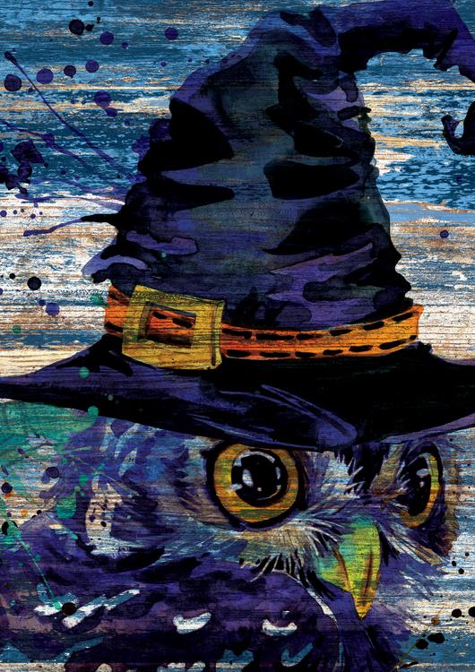 Owl in Witch Hat