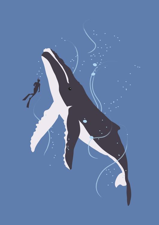 Humpback Whale and Human