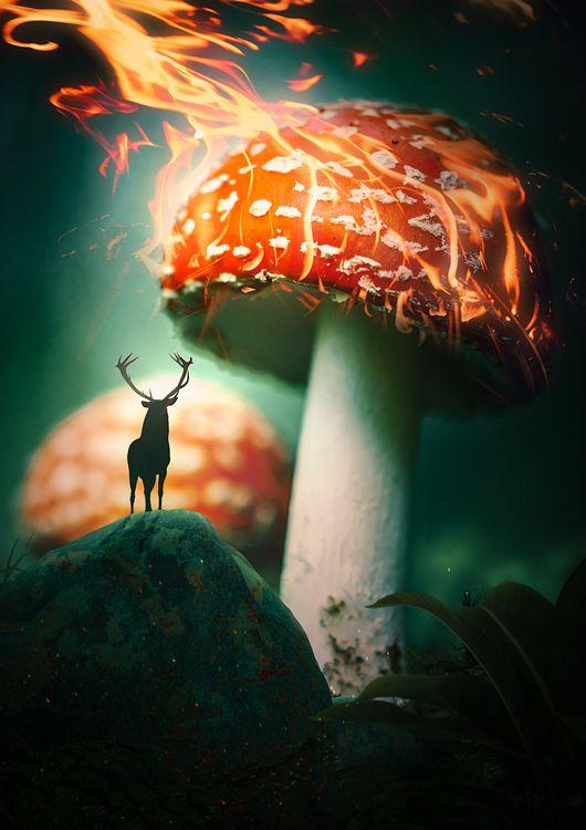 Burning Mushroom