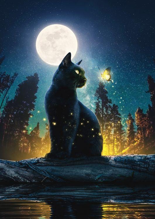 Cat Moon and Stars 2