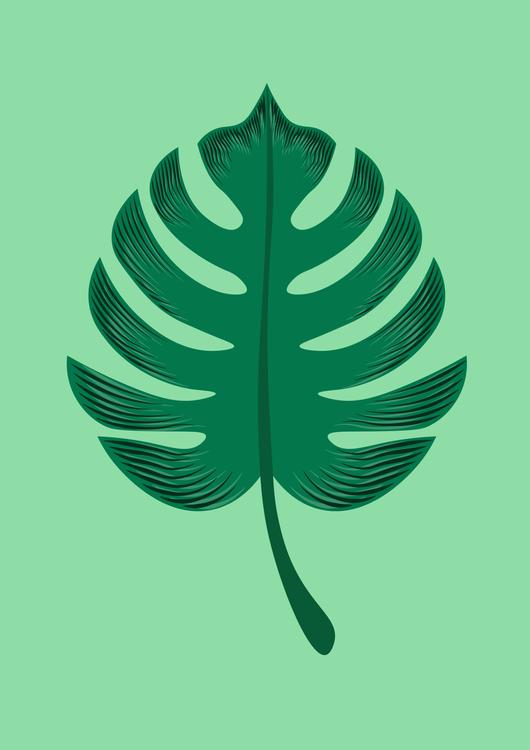 LEAF