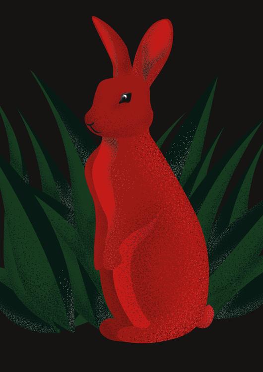 RED OR RABBIT