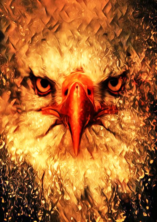 Eagle Art