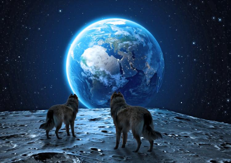 Moon Wolves