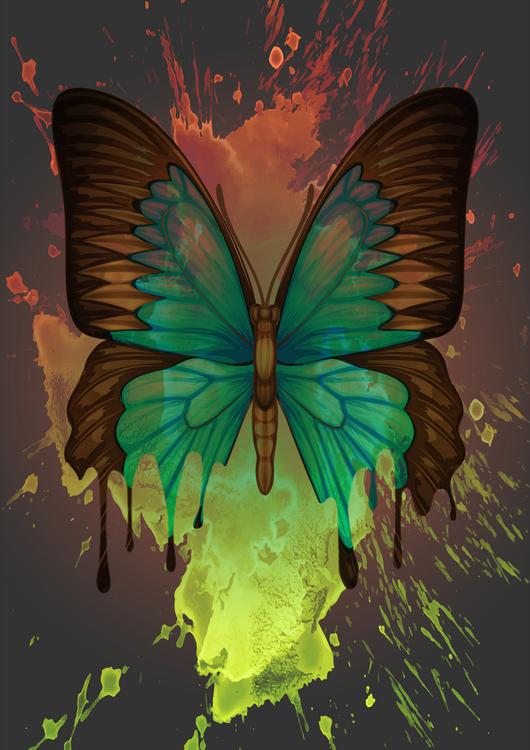 Dripping Butterfly Canvas