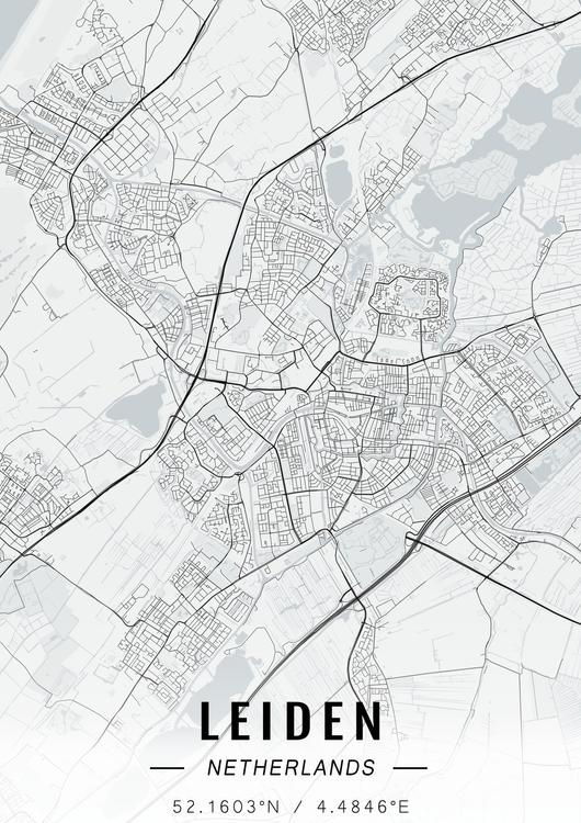 Leiden map
